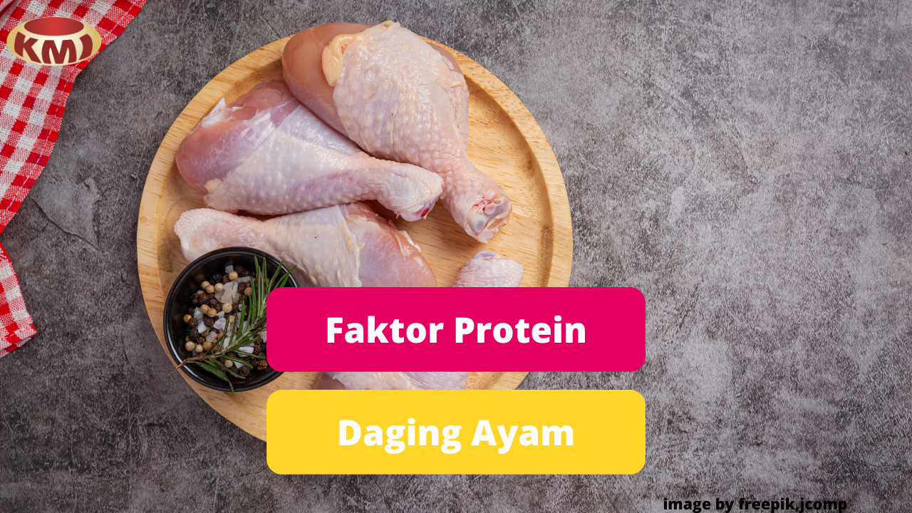 Ketahui Faktor Yang Mempengaruhi Protein Daging Ayam